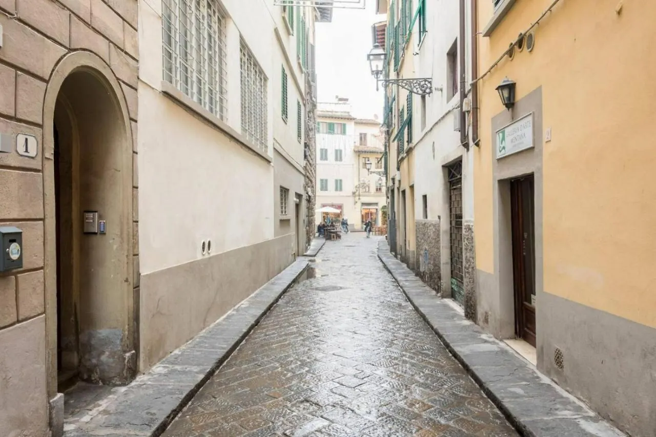 Cozy Apartment Near Ponte Vecchio Florence
